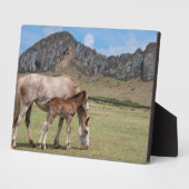Mare & Colt in de vulkaankrater van Rano Raraku Fotoplaat (Zijkant)