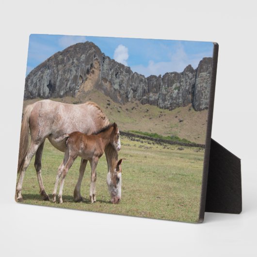 Mare & Colt in de vulkaankrater van Rano Raraku Fotoplaat (Zijkant)
