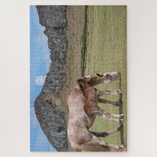 Mare & Colt in de vulkaankrater van Rano Raraku Legpuzzel (Verticaal)
