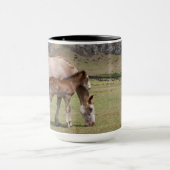 Mare & Colt in de vulkaankrater van Rano Raraku Mok (Midden)