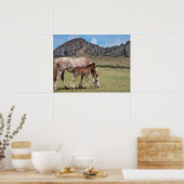 Mare & Colt in de vulkaankrater van Rano Raraku Poster (Keuken)