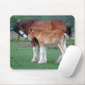 mare en colt 2 mousepad muismat (Met muis)