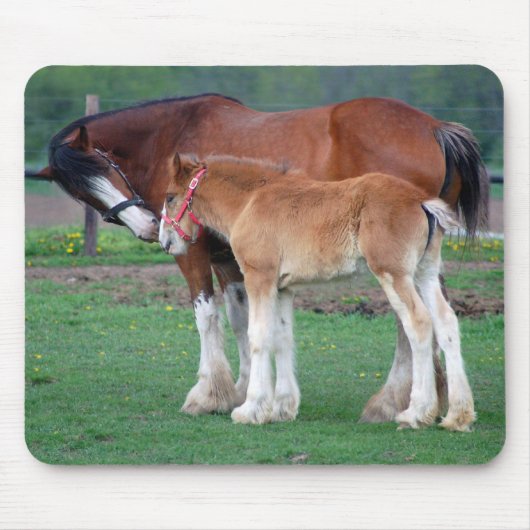 mare en colt 2 mousepad muismat (Voorkant)