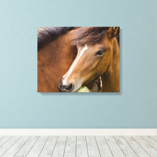Mare en Colt Canvas Afdruk (Insitu (Houten vloer))