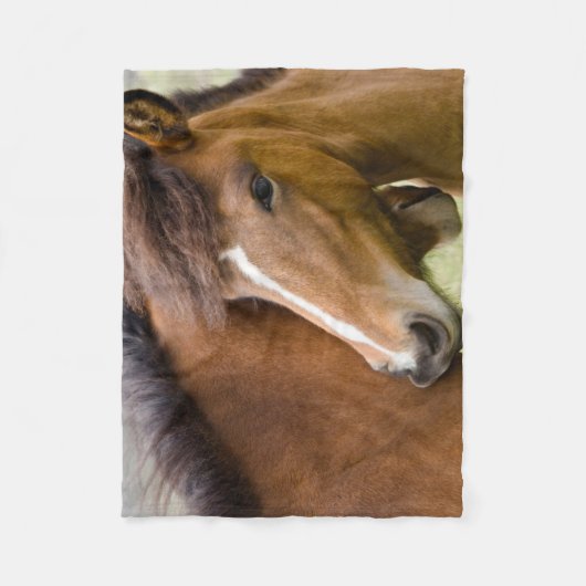 Mare en Colt Fleece Deken (Voorkant)