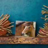 Mare en Colt Fotoplaat (Zijkant)