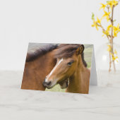 Mare en Colt Kaart (Gele Bloem)