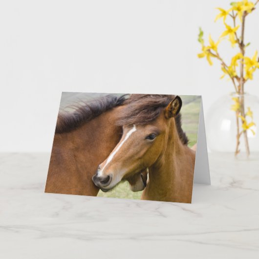 Mare en Colt Kaart (Gele Bloem)