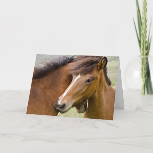 Mare en Colt Kaart (Voorkant)