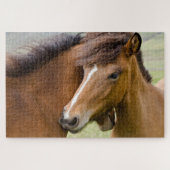 Mare en Colt Legpuzzel (Horizontaal)