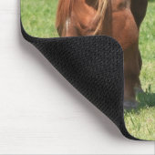 Mare en Colt Muismat (Hoek)