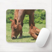 Mare en Colt Muismat (Met muis)