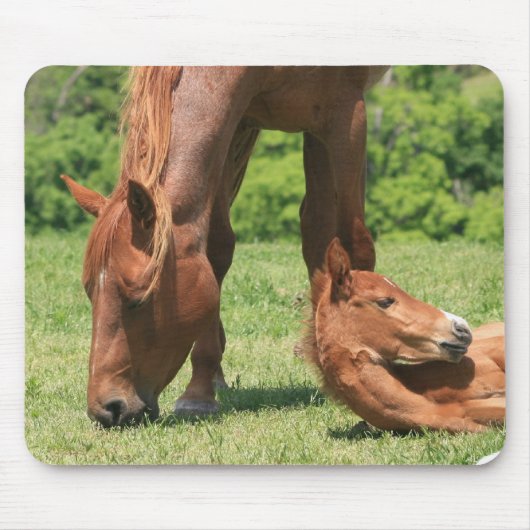 Mare en Colt Muismat (Voorkant)