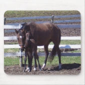 Mare en colt muismat (Voorkant)