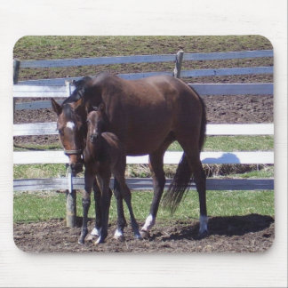 Mare en colt muismat