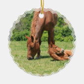 Mare en Colt Ornament (Voorkant)