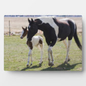 Mare en Filly Walking Fotoplaat (voorkant)
