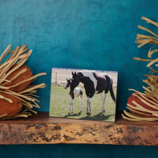 Mare en Filly Walking Fotoplaat (Zijkant)