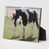 Mare en Filly Walking Fotoplaat (Zijkant)