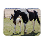 Mare en Filly Walking Magneet (Horizontaal)