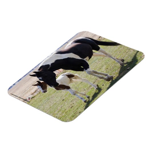 Mare en Filly Walking Magneet (Linkerzijde)