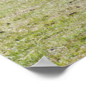 Mare en Filly Walking Poster (Hoek)