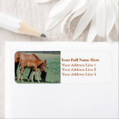 Mare en foal Address Label (Insitu)
