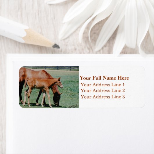 Mare en foal Address Label (Insitu)