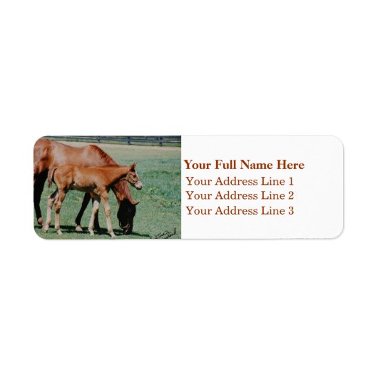 Mare en foal Address Label (Voorkant)