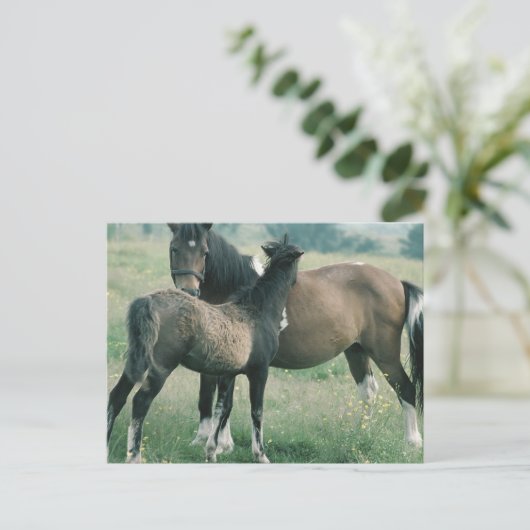 Mare en Foal Briefkaart (Staand voorkant)