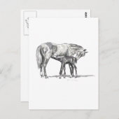 Mare en Foal Briefkaart (Voorkant / Achterkant)