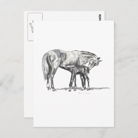 Mare en Foal Briefkaart (Voorkant / Achterkant)