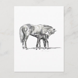 Mare en Foal Briefkaart