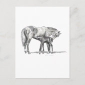 Mare en Foal Briefkaart (Voorkant)