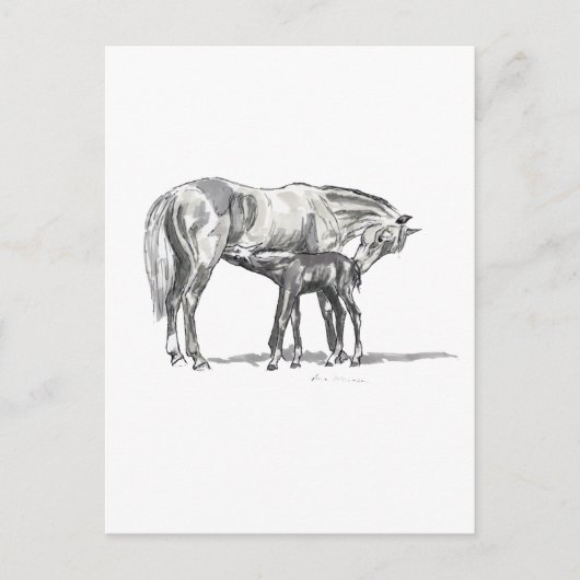 Mare en Foal Briefkaart (Voorkant)