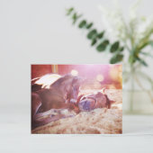 Mare en Foal Briefkaart (Staand voorkant)