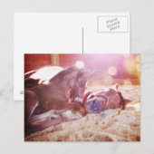 Mare en Foal Briefkaart (Voorkant / Achterkant)