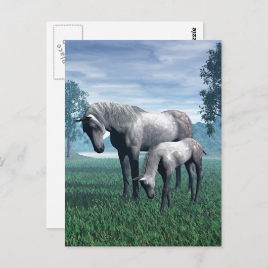 Mare en Foal Briefkaart (Voorkant / Achterkant)