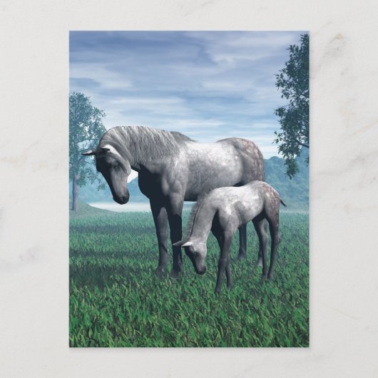Mare en Foal Briefkaart (Voorkant)