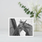 Mare en Foal Briefkaart (Staand voorkant)