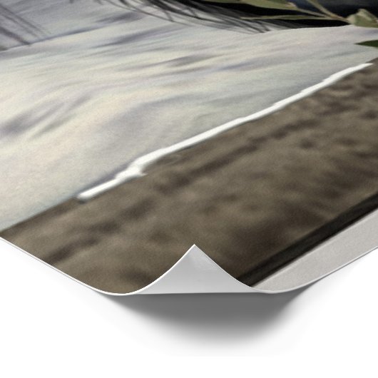 Mare en Foal in het Poster van de winter (Hoek)