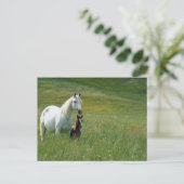 Mare en Foal in Tall Grass Briefkaart (Staand voorkant)