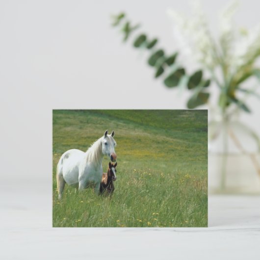 Mare en Foal in Tall Grass Briefkaart (Staand voorkant)