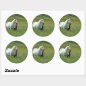 Mare en Foal in Tall Grass Ronde Sticker (Vel)