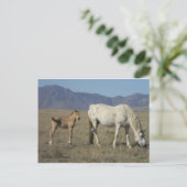 Mare en foal (paarden) briefkaart (Staand voorkant)