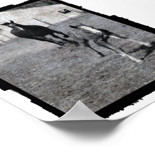 Mare en Foal Poster (Hoek)