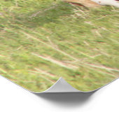 Mare en Foal Poster (Hoek)