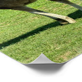 Mare en Foal Poster Print (Hoek)