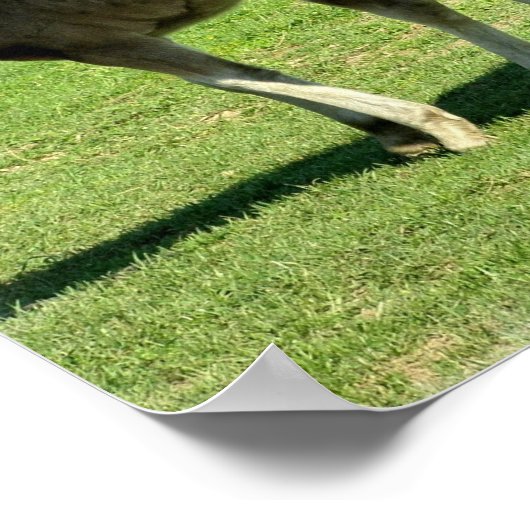 Mare en Foal Poster Print (Hoek)