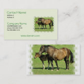 Mare en Foal Visitekaartje (Voorkant / Achterkant)